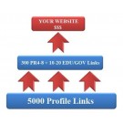 HighPR Link Pyramid 5300 Backlinks+EDU/GOV Links SEO for YouTube by using XRUMER